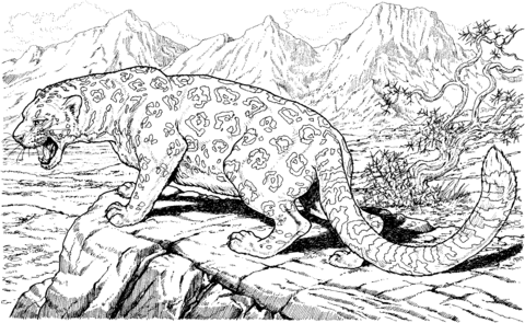 Leopard Roars On Hills Coloring Page